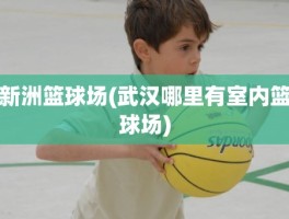 新洲篮球场(武汉哪里有室内篮球场)