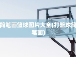简笔画篮球图片大全(打篮球简笔画)