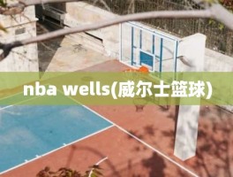 nba wells(威尔士篮球)