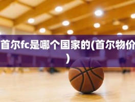 首尔fc是哪个国家的(首尔物价)
