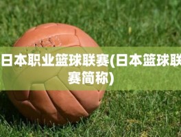日本职业篮球联赛(日本篮球联赛简称)