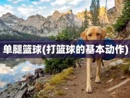 单腿篮球(打篮球的基本动作)