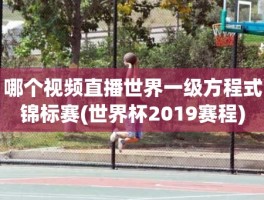 哪个视频直播世界一级方程式锦标赛(世界杯2019赛程)