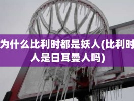 为什么比利时都是妖人(比利时人是日耳曼人吗)