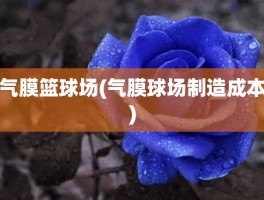 气膜篮球场(气膜球场制造成本)