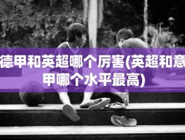 德甲和英超哪个厉害(英超和意甲哪个水平最高)