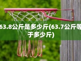 63.8公斤是多少斤(63.7公斤等于多少斤)