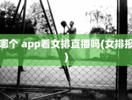哪个 app看女排直播吗(女排报)