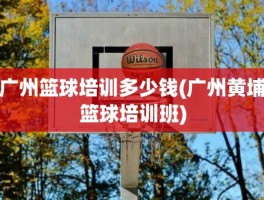 广州篮球培训多少钱(广州黄埔篮球培训班)