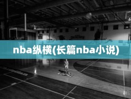 nba纵横(长篇nba小说)