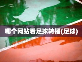 哪个网站看足球转播(足球)