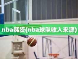 nba耗资(nba球队收入来源)