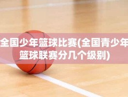 全国少年篮球比赛(全国青少年篮球联赛分几个级别)