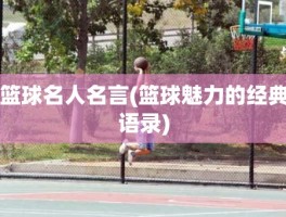 篮球名人名言(篮球魅力的经典语录)