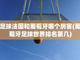 足球法国和葡萄牙哪个厉害(葡萄牙足球世界排名第几)