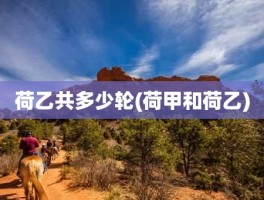 荷乙共多少轮(荷甲和荷乙)