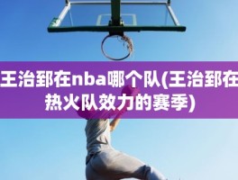王治郅在nba哪个队(王治郅在热火队效力的赛季)