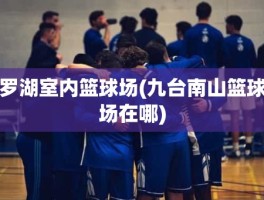 罗湖室内篮球场(九台南山篮球场在哪)