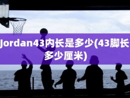 Jordan43内长是多少(43脚长多少厘米)