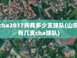 cba2017共有多少支球队(山东有几支cba球队)