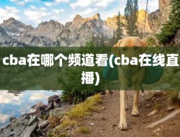 cba在哪个频道看(cba在线直播)