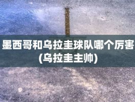 墨西哥和乌拉圭球队哪个厉害(乌拉圭主帅)