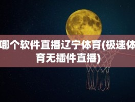哪个软件直播辽宁体育(极速体育无插件直播)