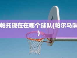 帕托现在在哪个球队(帕尔马队)