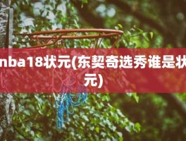 nba18状元(东契奇选秀谁是状元)