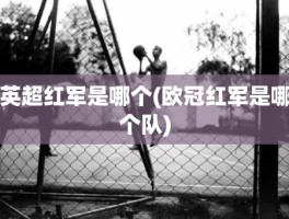 英超红军是哪个(欧冠红军是哪个队)