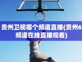 贵州卫视哪个频道直播(贵州6频道在线直播观看)