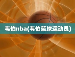韦伯nba(韦伯篮球运动员)