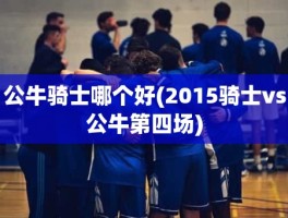 公牛骑士哪个好(2015骑士vs公牛第四场)