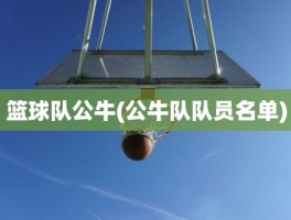 篮球队公牛(公牛队队员名单)