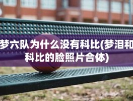 梦六队为什么没有科比(梦泪和科比的脸照片合体)