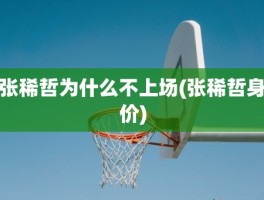 张稀哲为什么不上场(张稀哲身价)