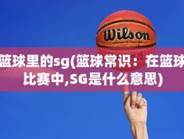 篮球里的sg(篮球常识：在篮球比赛中,SG是什么意思)