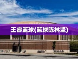王睿篮球(篮球陈林坚)