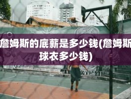 詹姆斯的底薪是多少钱(詹姆斯球衣多少钱)