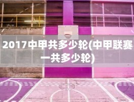 2017中甲共多少轮(中甲联赛一共多少轮)