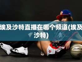 埃及沙特直播在哪个频道(埃及沙特)