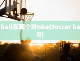 ball在哪个对nba(Soccer ball)