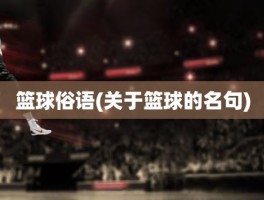 篮球俗语(关于篮球的名句)