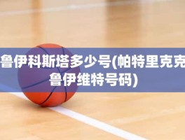 鲁伊科斯塔多少号(帕特里克克鲁伊维特号码)