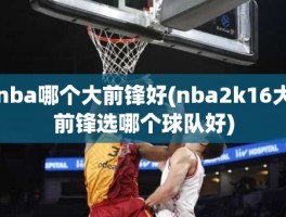 nba哪个大前锋好(nba2k16大前锋选哪个球队好)