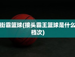 街霸篮球(接头霸王篮球是什么档次)