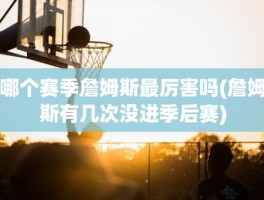 哪个赛季詹姆斯最厉害吗(詹姆斯有几次没进季后赛)