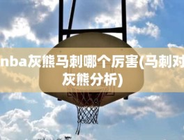 nba灰熊马刺哪个厉害(马刺对灰熊分析)