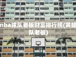 nba球队老板财富排行榜(黄蜂队老板)
