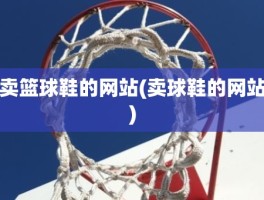 卖篮球鞋的网站(卖球鞋的网站)